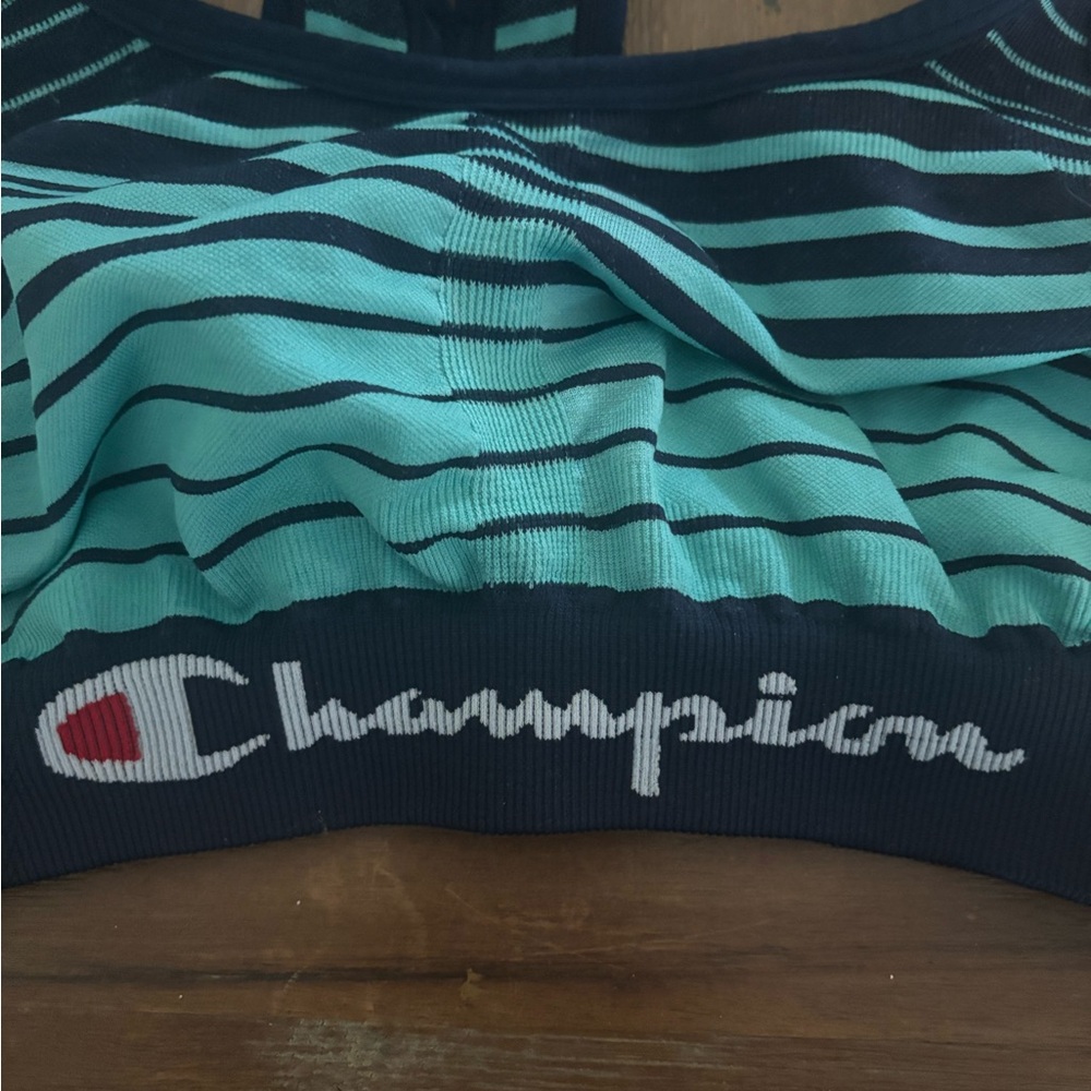 Champion Striped Sports Bra
